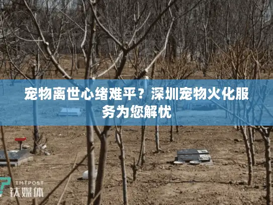 宠物离世心绪难平？深圳宠物火化服务为您解忧