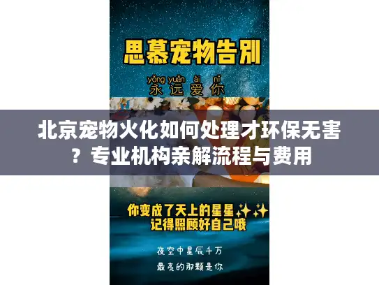 北京宠物火化如何处理才环保无害？专业机构亲解流程与费用