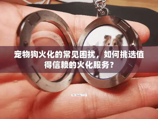宠物狗火化的常见困扰，如何挑选值得信赖的火化服务？
