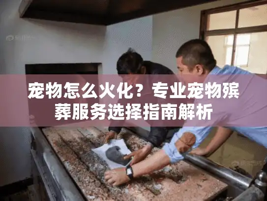 宠物怎么火化？专业宠物殡葬服务选择指南解析