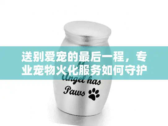 送别爱宠的最后一程，专业宠物火化服务如何守护情感尊严？