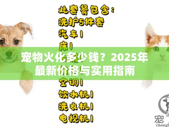 宠物火化多少钱？2025年最新价格与实用指南