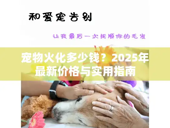宠物火化多少钱？2025年最新价格与实用指南