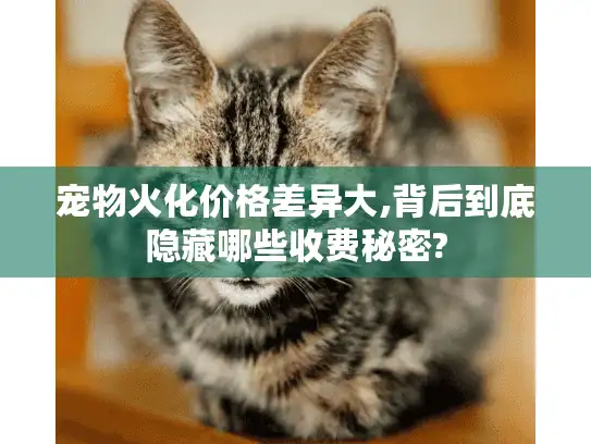 宠物火化价格差异大,背后到底隐藏哪些收费秘密?