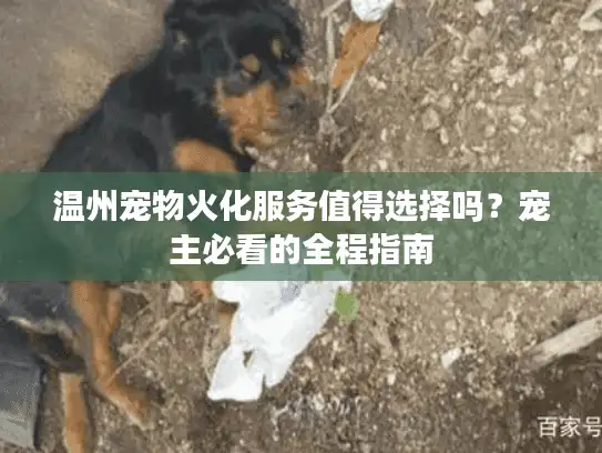 温州宠物火化服务值得选择吗？宠主必看的全程指南