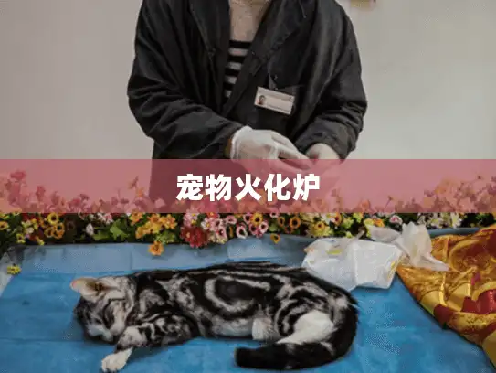 宠物火化炉