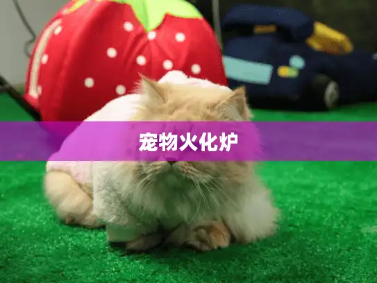 宠物火化炉