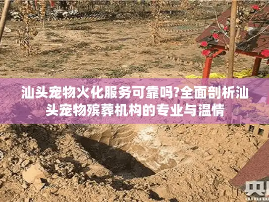 汕头宠物火化服务可靠吗?全面剖析汕头宠物殡葬机构的专业与温情
