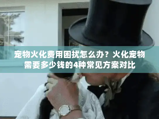 宠物火化费用困扰怎么办？火化宠物需要多少钱的4种常见方案对比