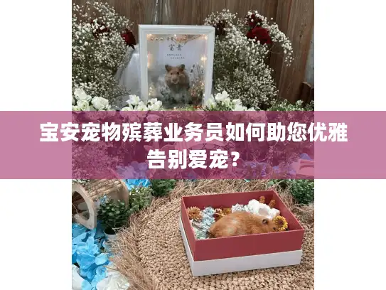 宝安宠物殡葬业务员如何助您优雅告别爱宠？