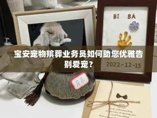 宝安宠物殡葬业务员如何助您优雅告别爱宠？