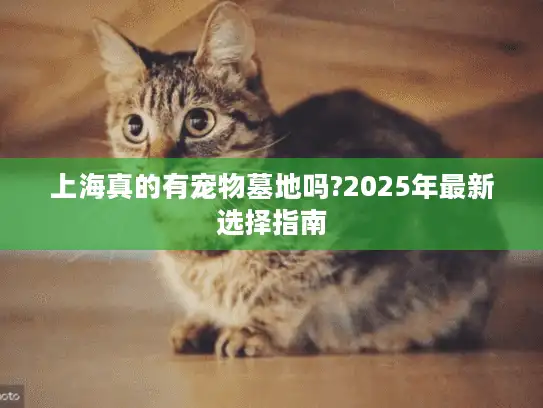 上海真的有宠物墓地吗?2025年最新选择指南