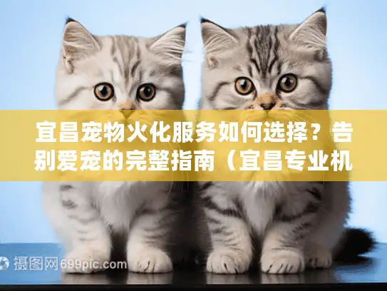 宜昌宠物火化服务如何选择？告别爱宠的完整指南（宜昌专业机构推荐）