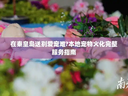 在秦皇岛送别爱宠难?本地宠物火化完整服务指南