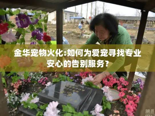 金华宠物火化:如何为爱宠寻找专业安心的告别服务？