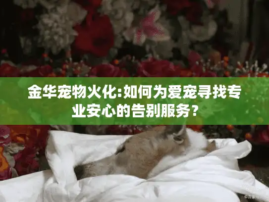 金华宠物火化:如何为爱宠寻找专业安心的告别服务？