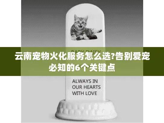 云南宠物火化服务怎么选?告别爱宠必知的6个关键点