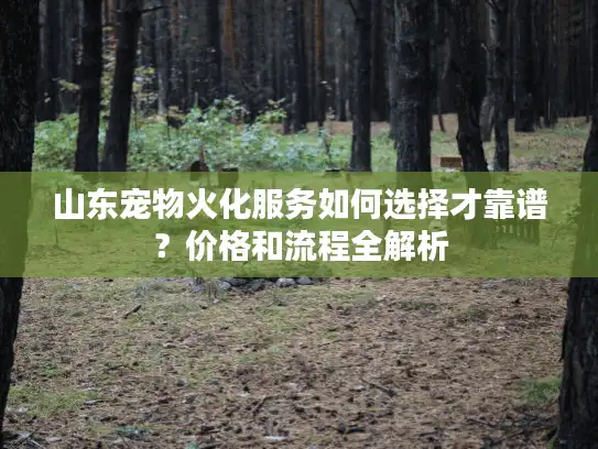 山东宠物火化服务如何选择才靠谱？价格和流程全解析