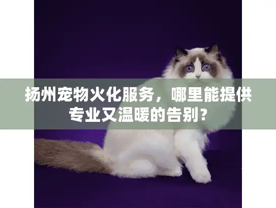 扬州宠物火化服务，哪里能提供专业又温暖的告别？