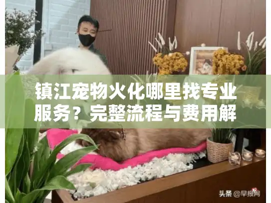 镇江宠物火化哪里找专业服务？完整流程与费用解析