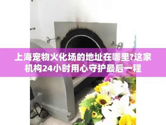 上海宠物火化场的地址在哪里?这家机构24小时用心守护最后一程