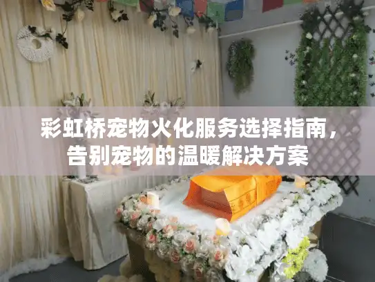 彩虹桥宠物火化服务选择指南，告别宠物的温暖解决方案