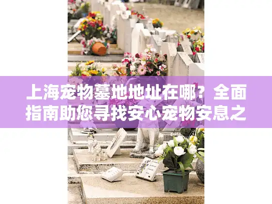 上海宠物墓地地址在哪？全面指南助您寻找安心宠物安息之地