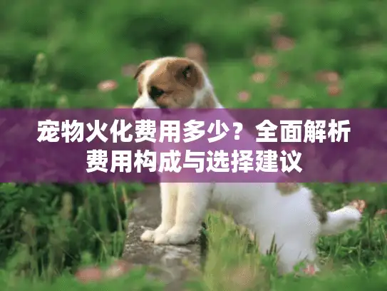 宠物火化费用多少？全面解析费用构成与选择建议