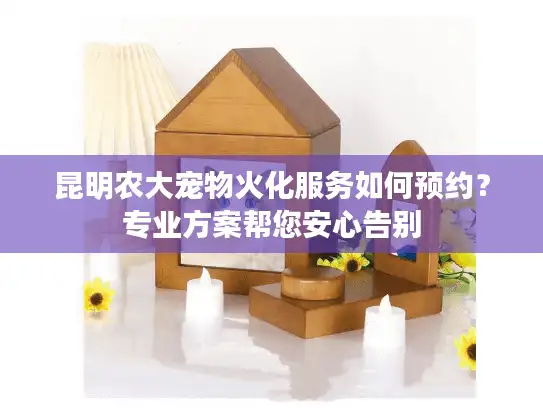 昆明农大宠物火化服务如何预约？专业方案帮您安心告别