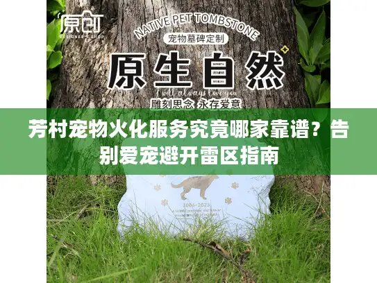 芳村宠物火化服务究竟哪家靠谱？告别爱宠避开雷区指南