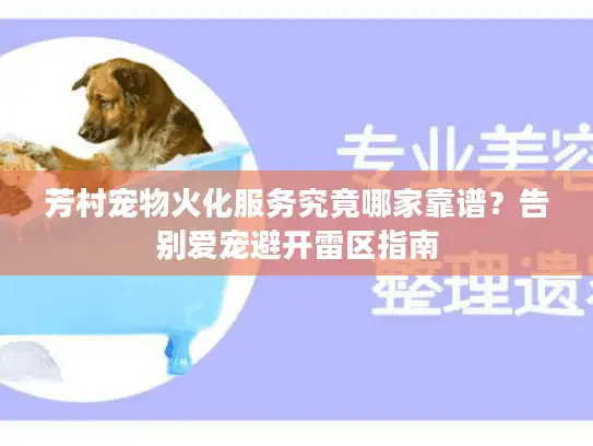 芳村宠物火化服务究竟哪家靠谱？告别爱宠避开雷区指南