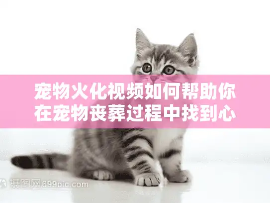 宠物火化视频如何帮助你在宠物丧葬过程中找到心灵慰藉？
