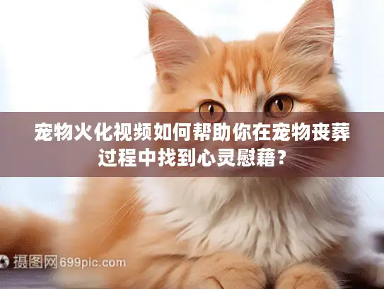 宠物火化视频如何帮助你在宠物丧葬过程中找到心灵慰藉？