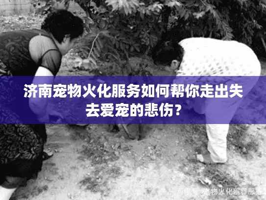 济南宠物火化服务如何帮你走出失去爱宠的悲伤？