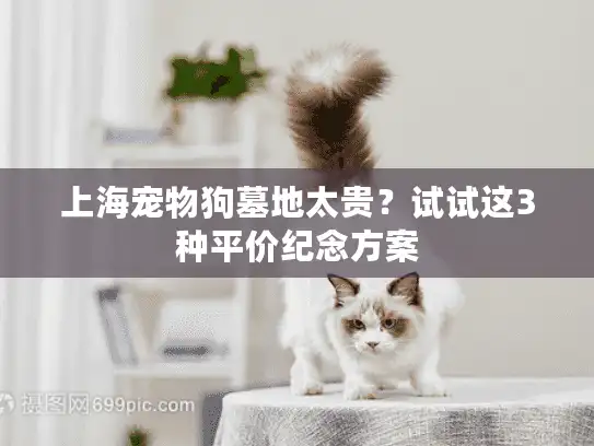 上海宠物狗墓地太贵？试试这3种平价纪念方案