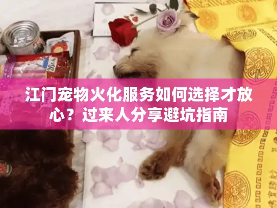 江门宠物火化服务如何选择才放心？过来人分享避坑指南