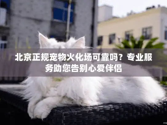 北京正规宠物火化场可靠吗？专业服务助您告别心爱伴侣