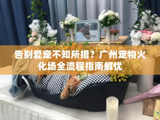 告别爱宠不知所措？广州宠物火化场全流程指南解忧