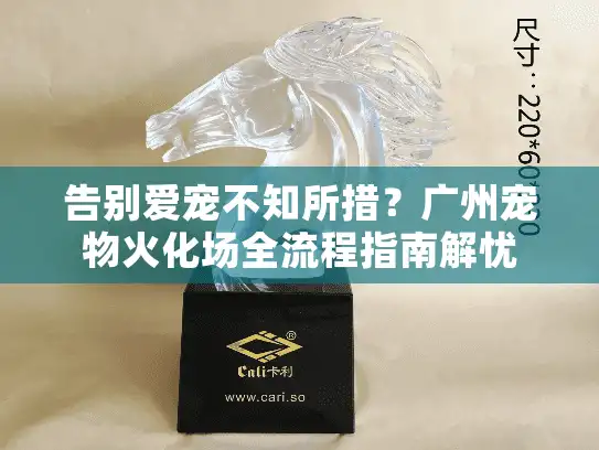 告别爱宠不知所措？广州宠物火化场全流程指南解忧