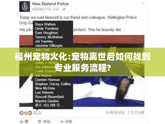 福州宠物火化:宠物离世后如何找到专业服务流程?