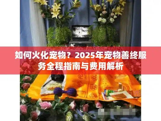 如何火化宠物？2025年宠物善终服务全程指南与费用解析