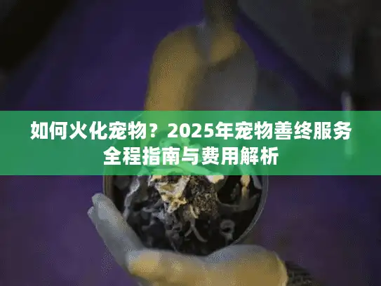 如何火化宠物？2025年宠物善终服务全程指南与费用解析