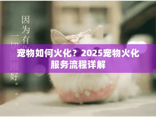 宠物如何火化？2025宠物火化服务流程详解