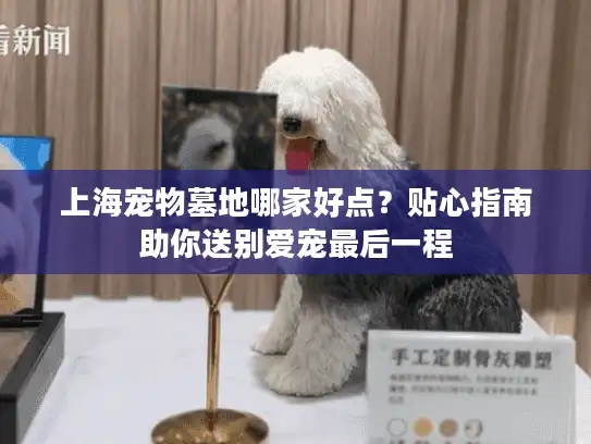 上海宠物墓地哪家好点？贴心指南助你送别爱宠最后一程
