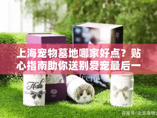 上海宠物墓地哪家好点？贴心指南助你送别爱宠最后一程