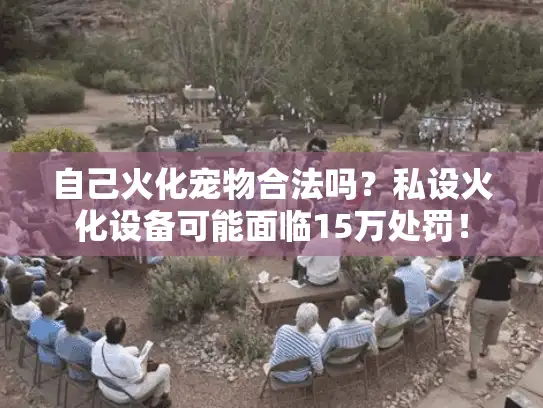 自己火化宠物合法吗？私设火化设备可能面临15万处罚！