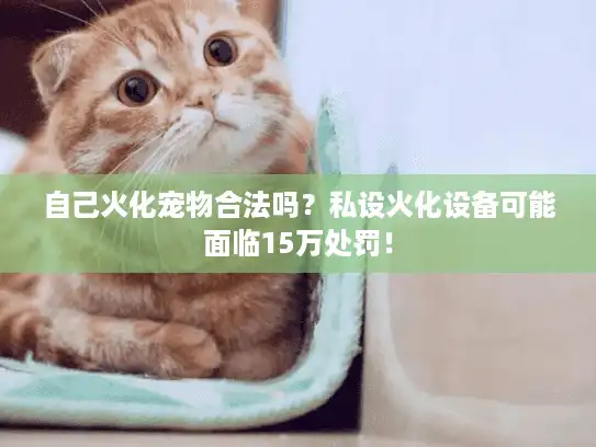 自己火化宠物合法吗？私设火化设备可能面临15万处罚！