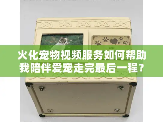 火化宠物视频服务如何帮助我陪伴爱宠走完最后一程？
