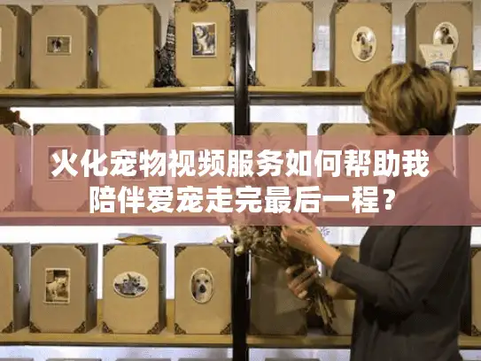 火化宠物视频服务如何帮助我陪伴爱宠走完最后一程？