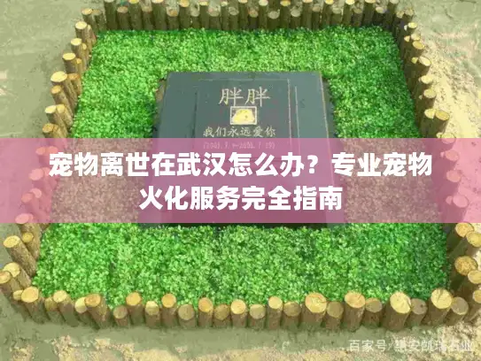 宠物离世在武汉怎么办？专业宠物火化服务完全指南